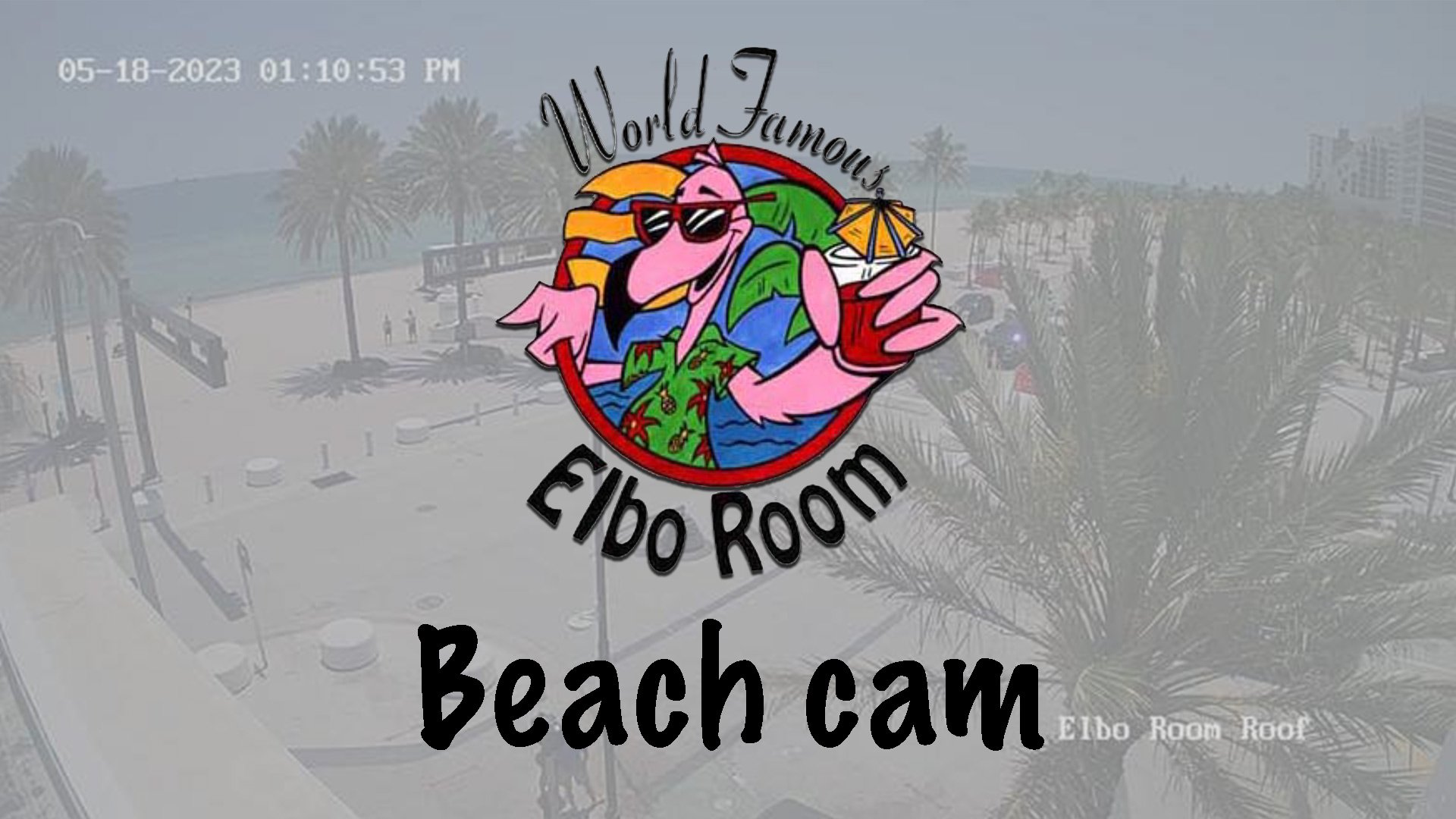 World cam online